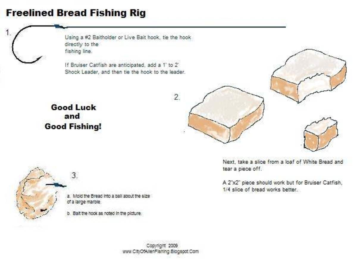 Fishing With Bread Fishing Rigs