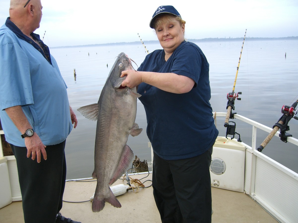 How to Catch Big Catfish Best Rigs