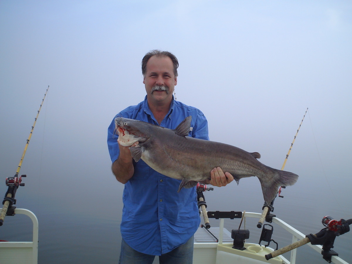 How to Catch Big Catfish Best Rigs