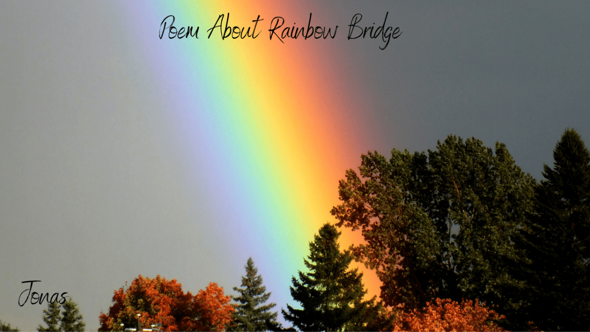 Poem About Rainbow Bridge The Gateway to Heaven HubPages