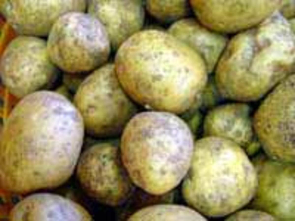 The Worlds Best Homemade Mashed Potatoes hubpages