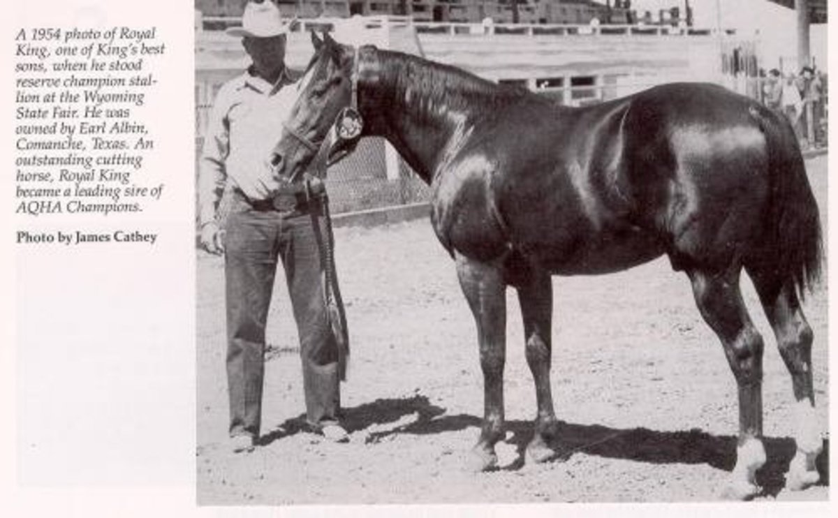Foundation Quarter Horse Breeders at Ann Gordon blog