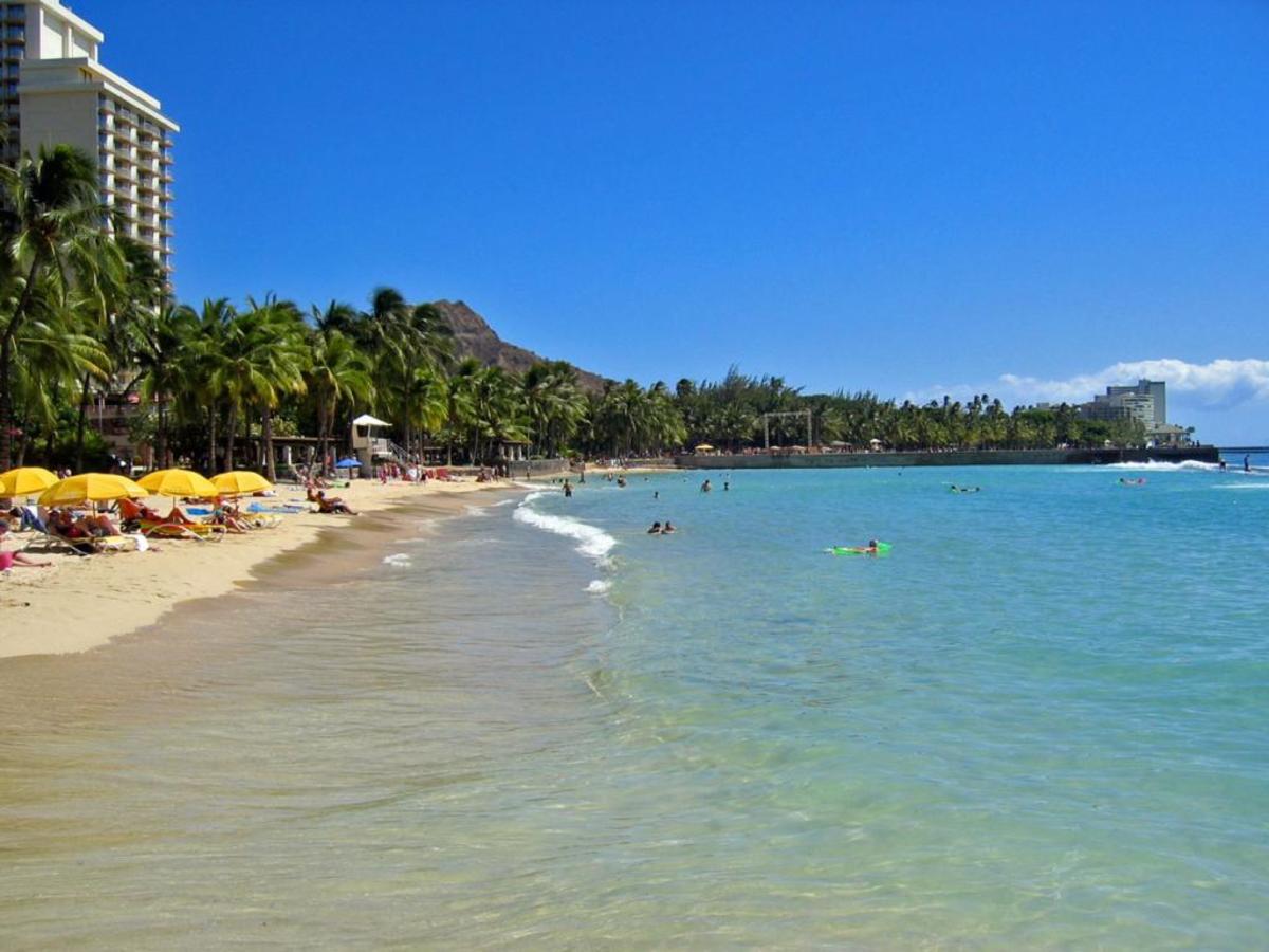 Top Ten US Beaches for Shell Collecting WanderWisdom