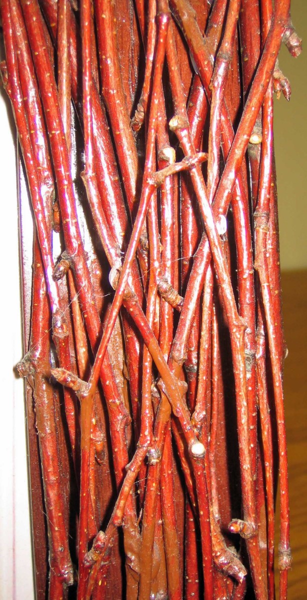 How To Make A Picture Frame Using Birch Bark Branches HubPages