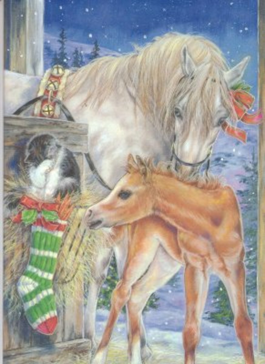 Christmas Card Ideas hubpages