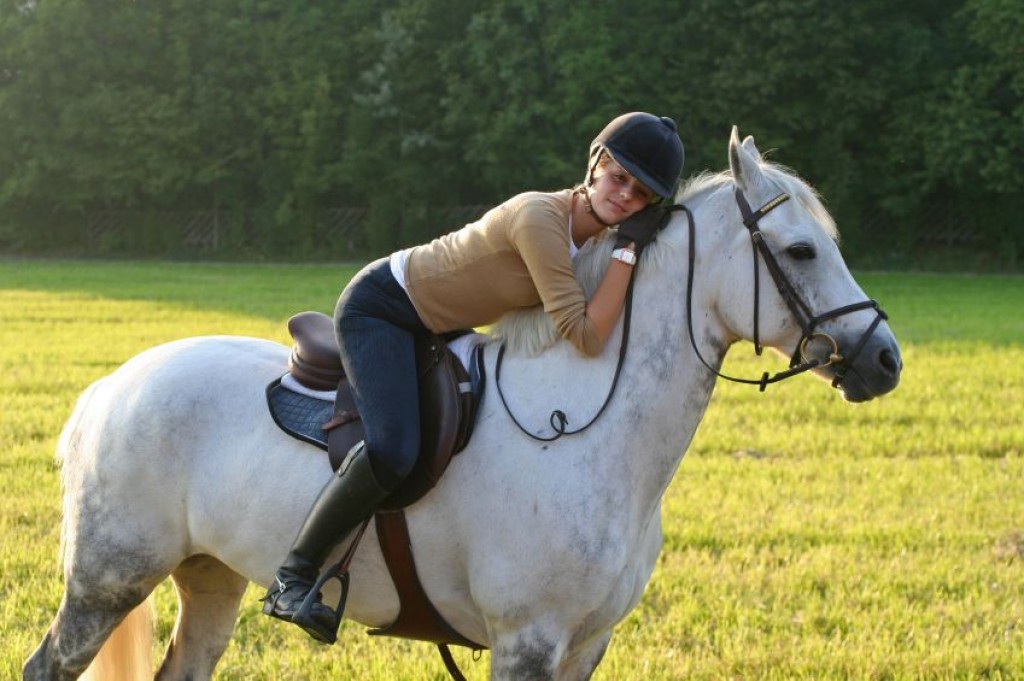 Essential Equestrian Horse Tack and Horse Riding Apparel hubpages