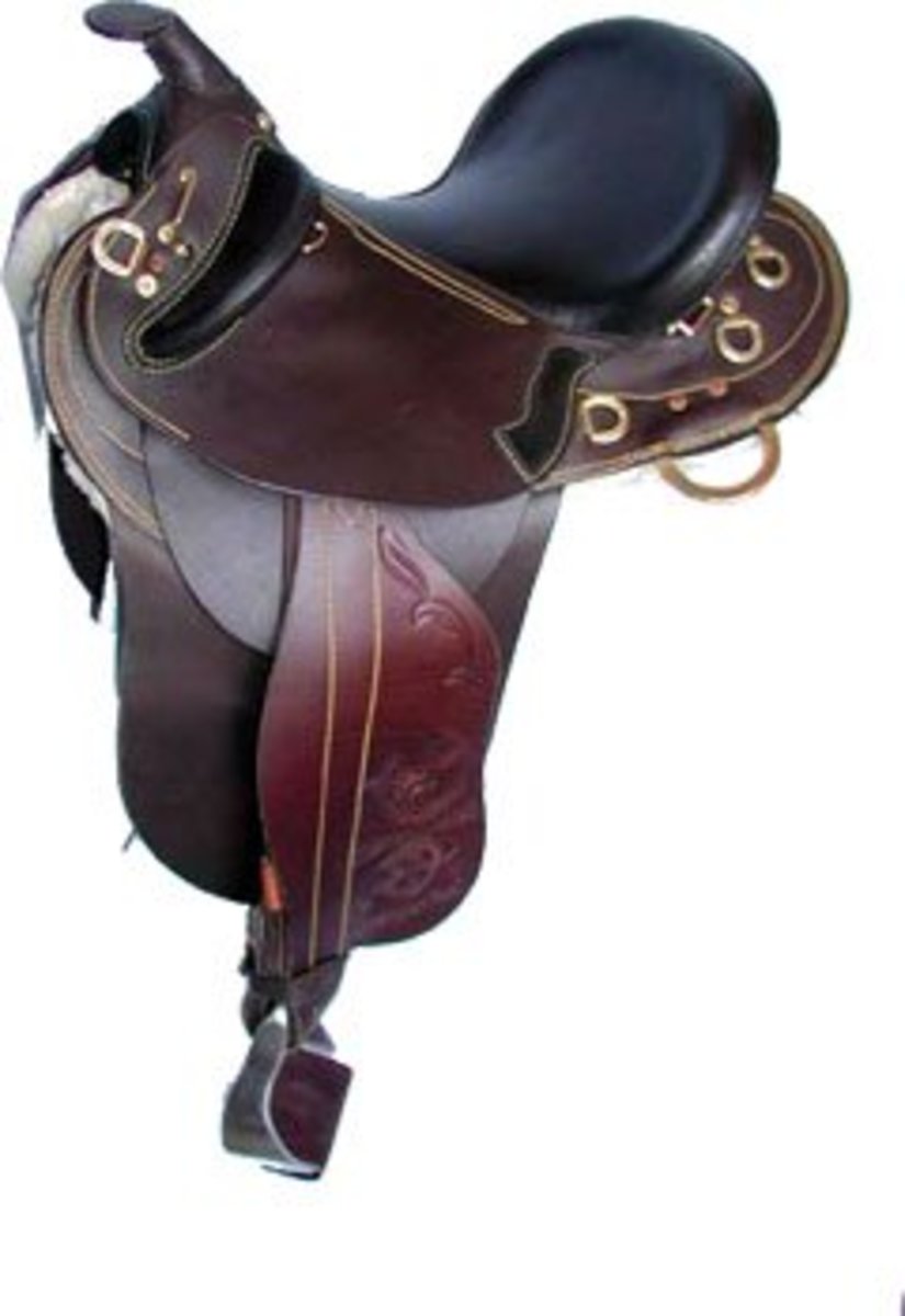 Different Types of Horse Riding Saddles HowTheyPlay
