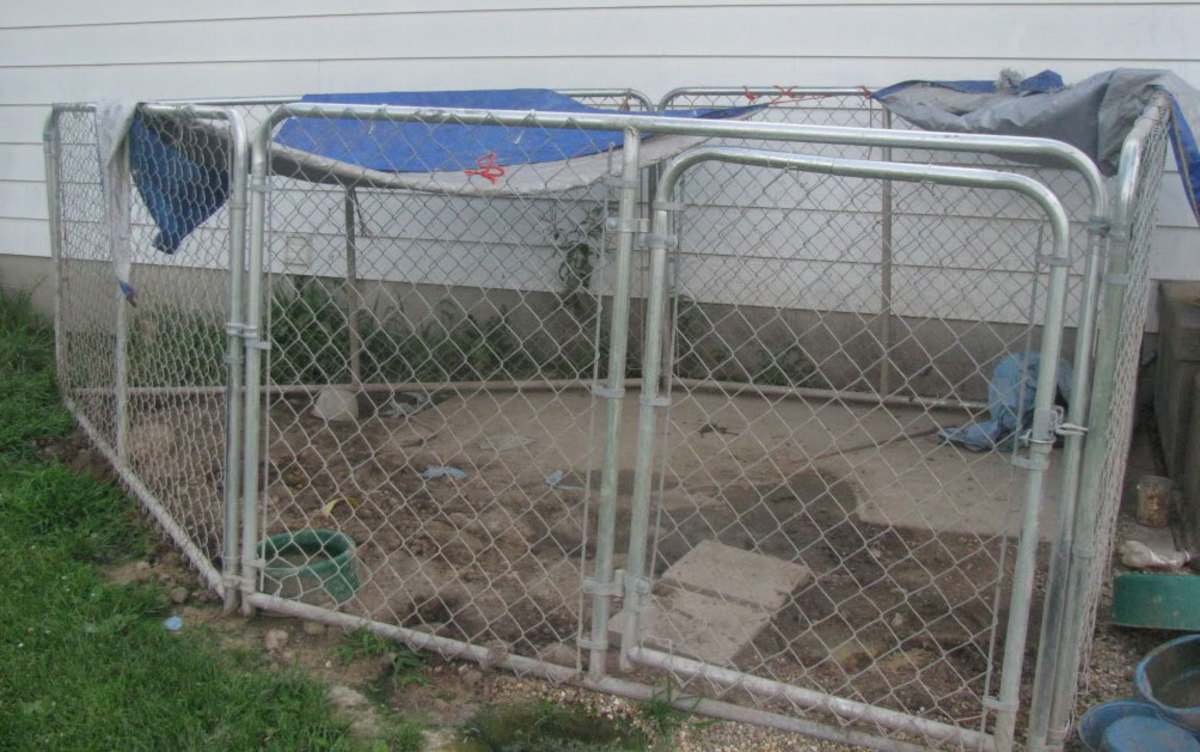 Should I Build or Buy a Dog Kennel Run? PetHelpful