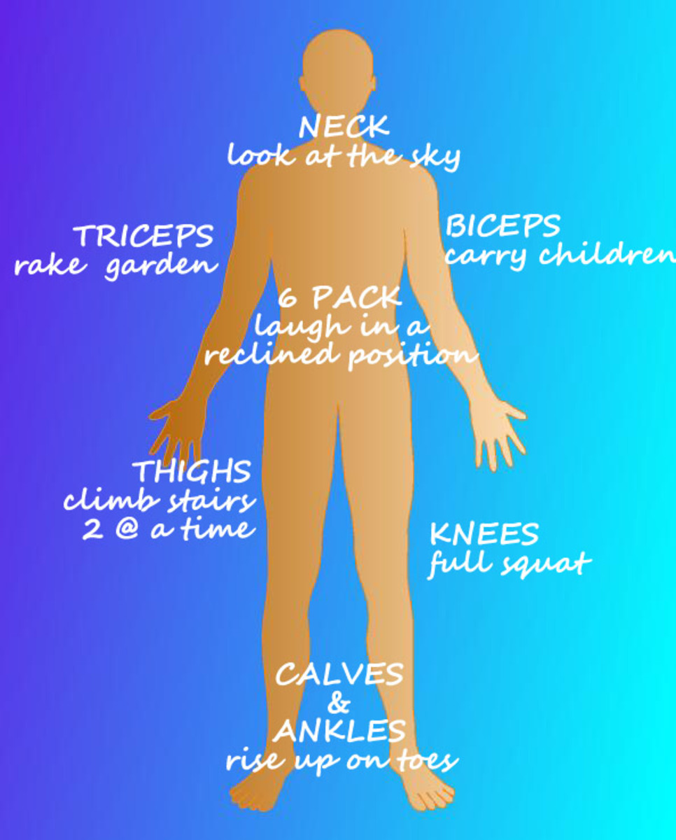 Take Back Your Health With Improved Movement Habits CalorieBee