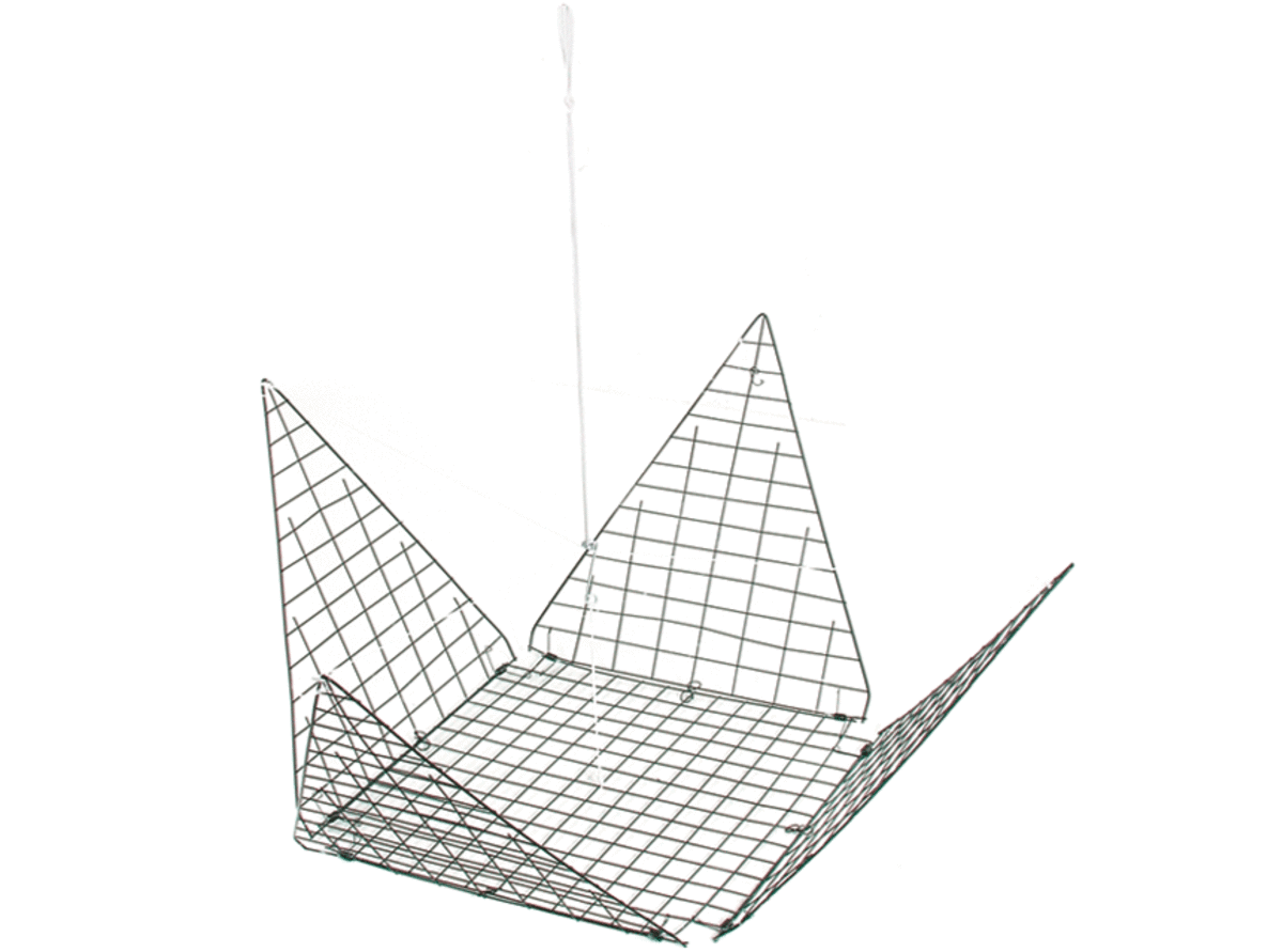 How to Catch Dungeness Crab Pots, Bait, and Strategies SkyAboveUs