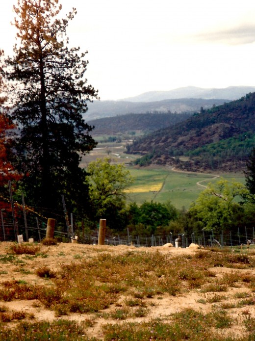Spending the Night in Lillie Langtry's House at Guenoc Winery in