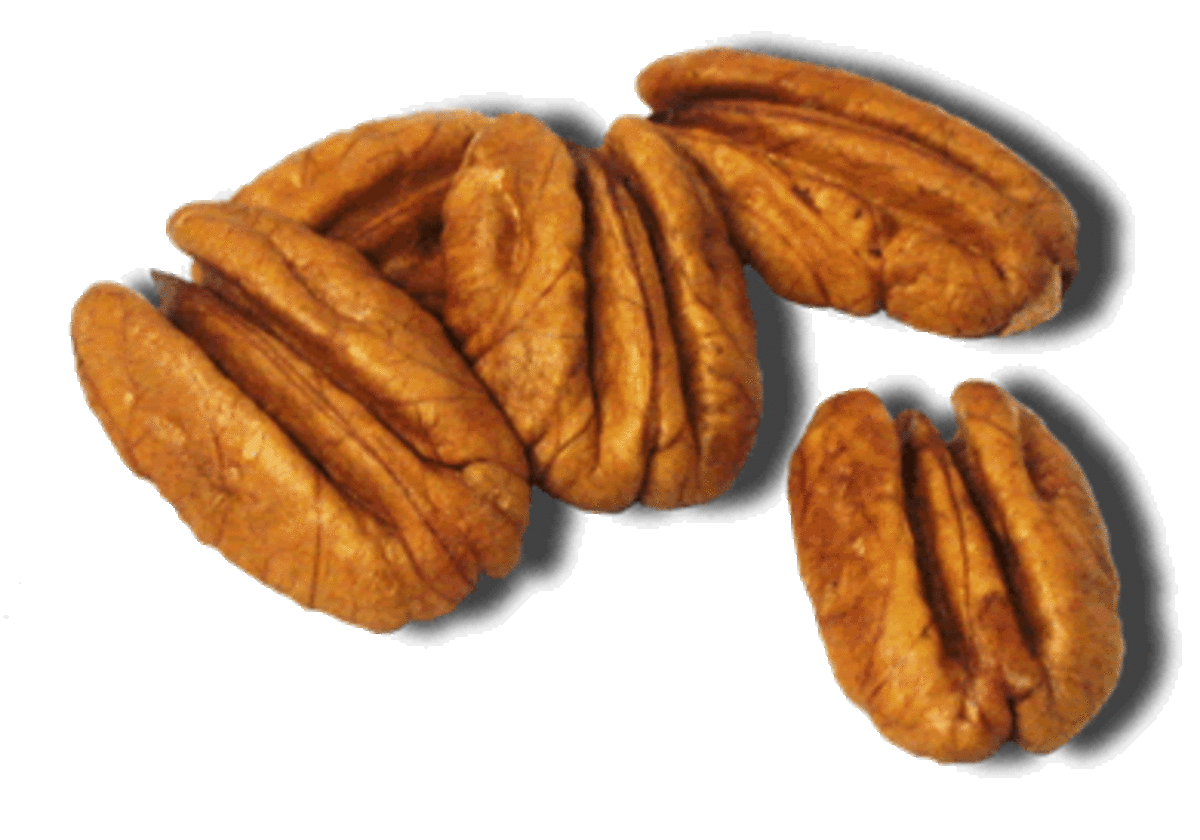 Names Of Pecans at Margaret Tabron blog