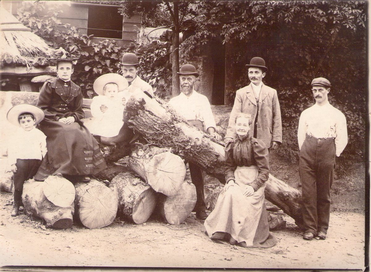 Original Old Guernsey Farming Pictures and Photos. hubpages