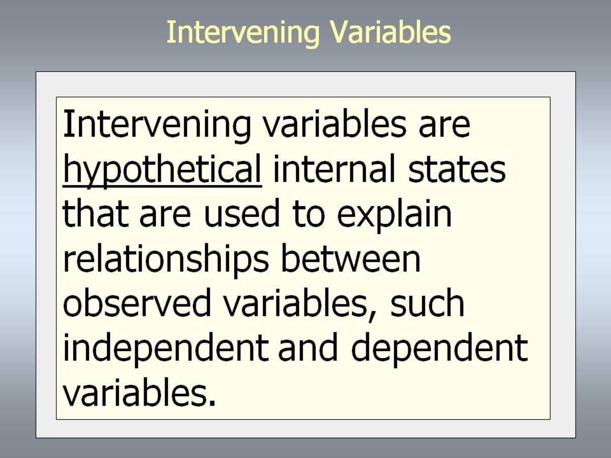 Hypothesis Development in Business Research