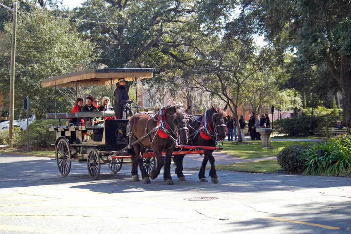 Top 10 Things to See and Do in Savannah, WanderWisdom