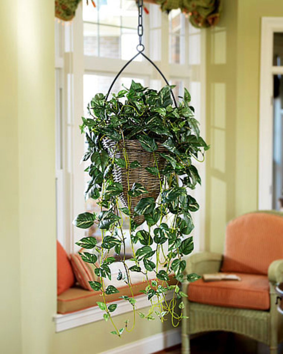 Artificial Silk Plants Silk Flowers and Artificial Plants in the Home HubPages