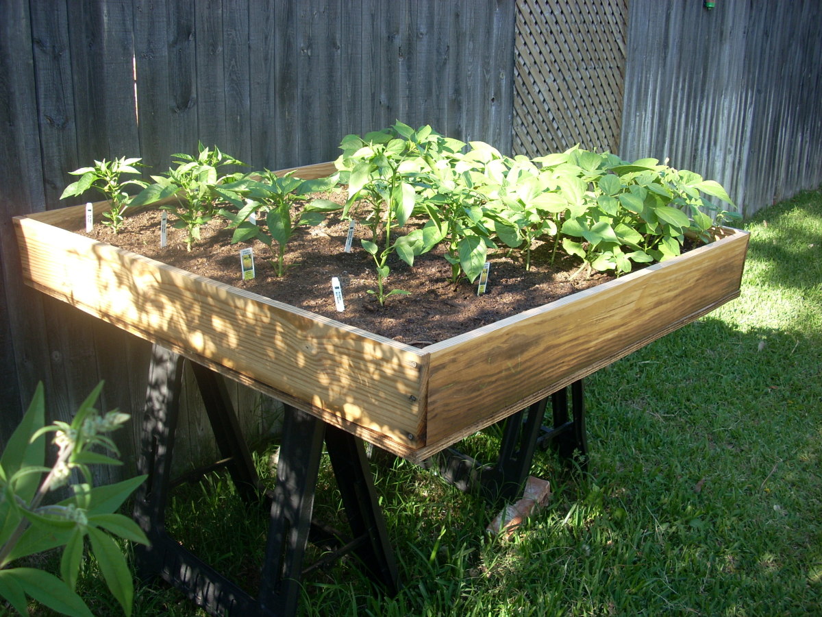 Mel’s Mix Best Ingredients for Square Foot Gardening Soil Mix HubPages