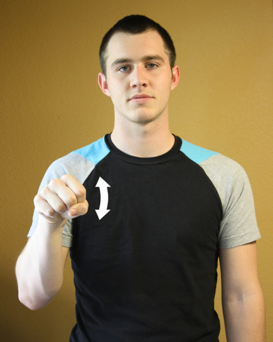 American Sign LanguageASL Beginning and Basic Words 1 HubPages