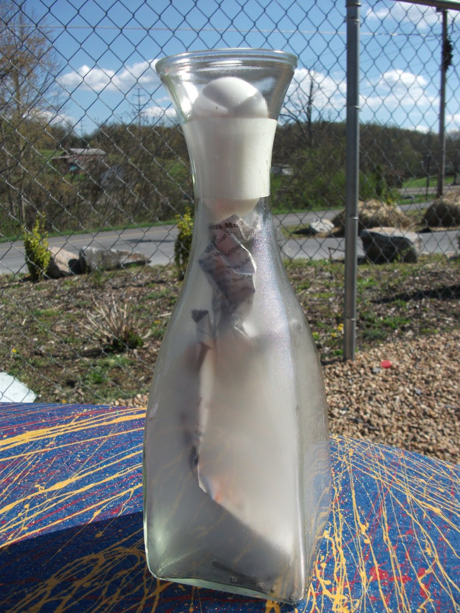 Fun and Easy Egg Experiments for Kids Owlcation