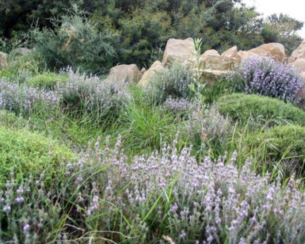 Ancient gardens of Greece HubPages