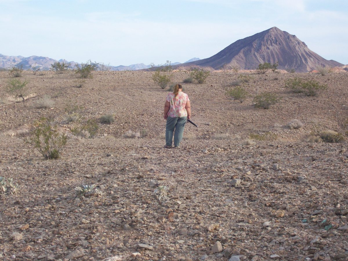 Fossil Hunting In Las Vegas HubPages