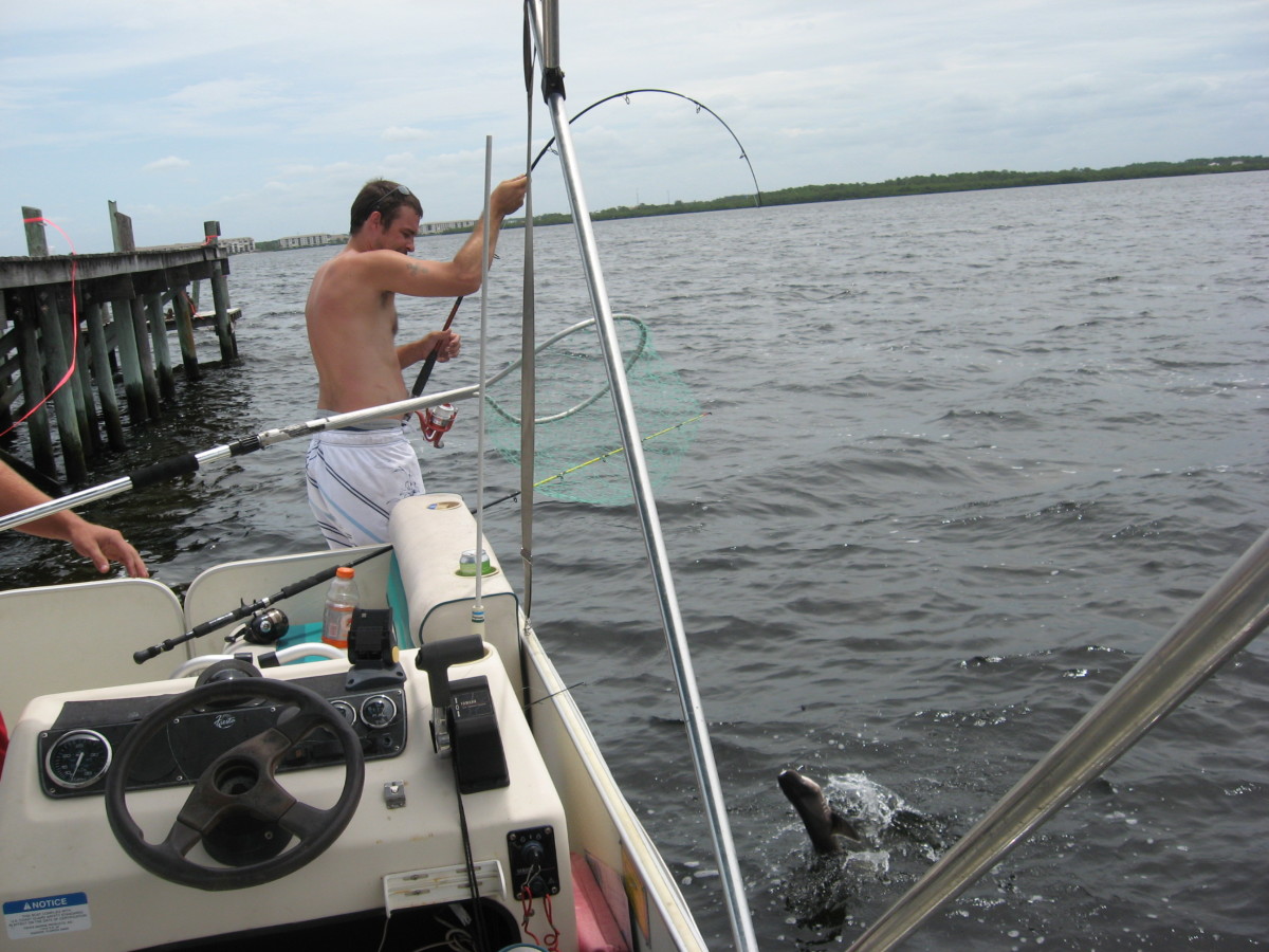 How to Tie Saltwater Fishing Rigs HubPages