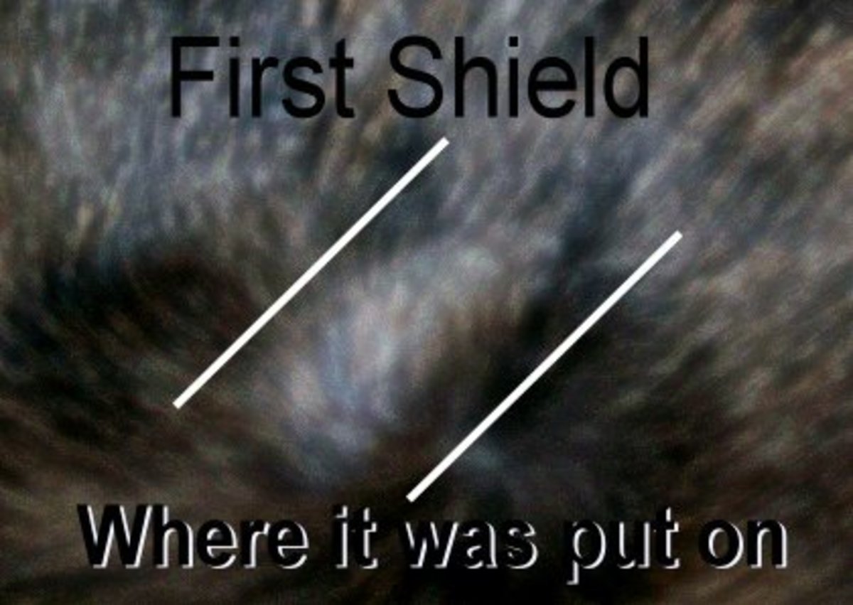 First Shield Flea Medication for Cats & Dogs is Poison HubPages