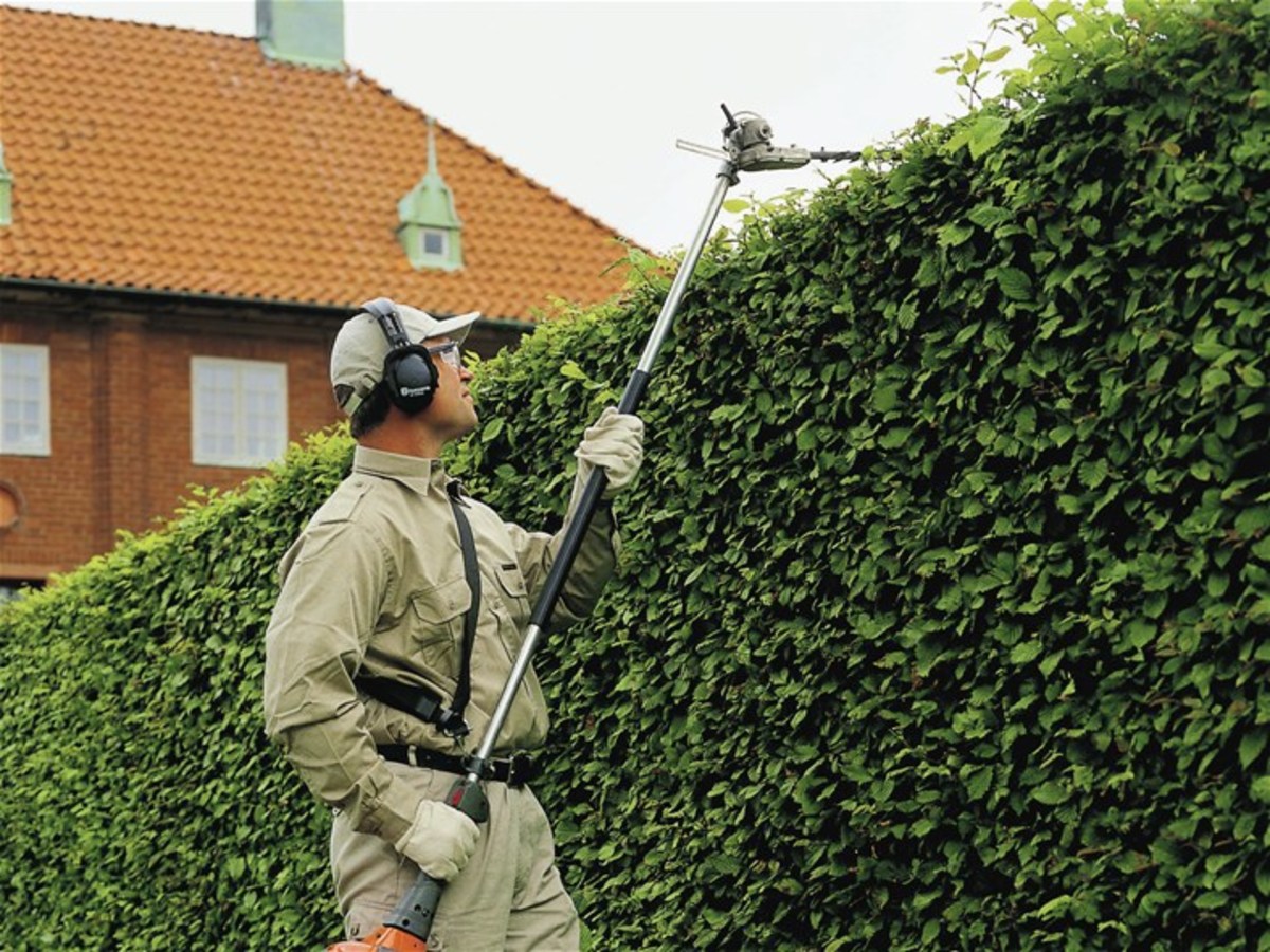 The 5 Best Pole Hedge Trimmers Dengarden