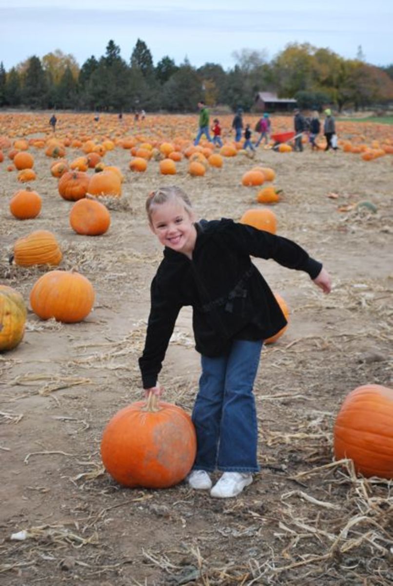 Pumpkin Patches in Central Oregon HubPages
