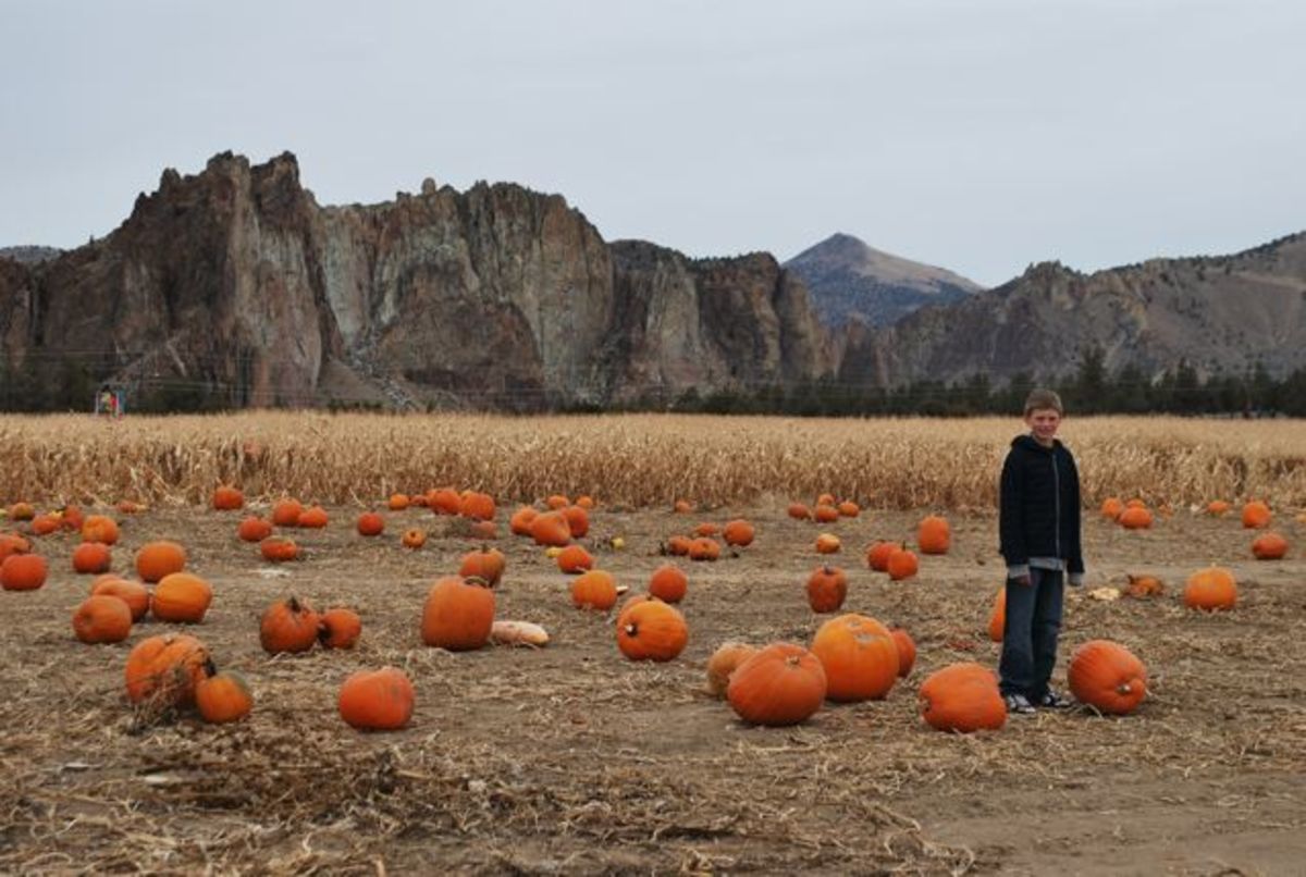 Pumpkin Patches in Central Oregon HubPages