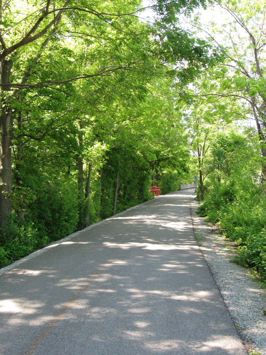 The 3 Best Bike Trails in Indiana SkyAboveUs