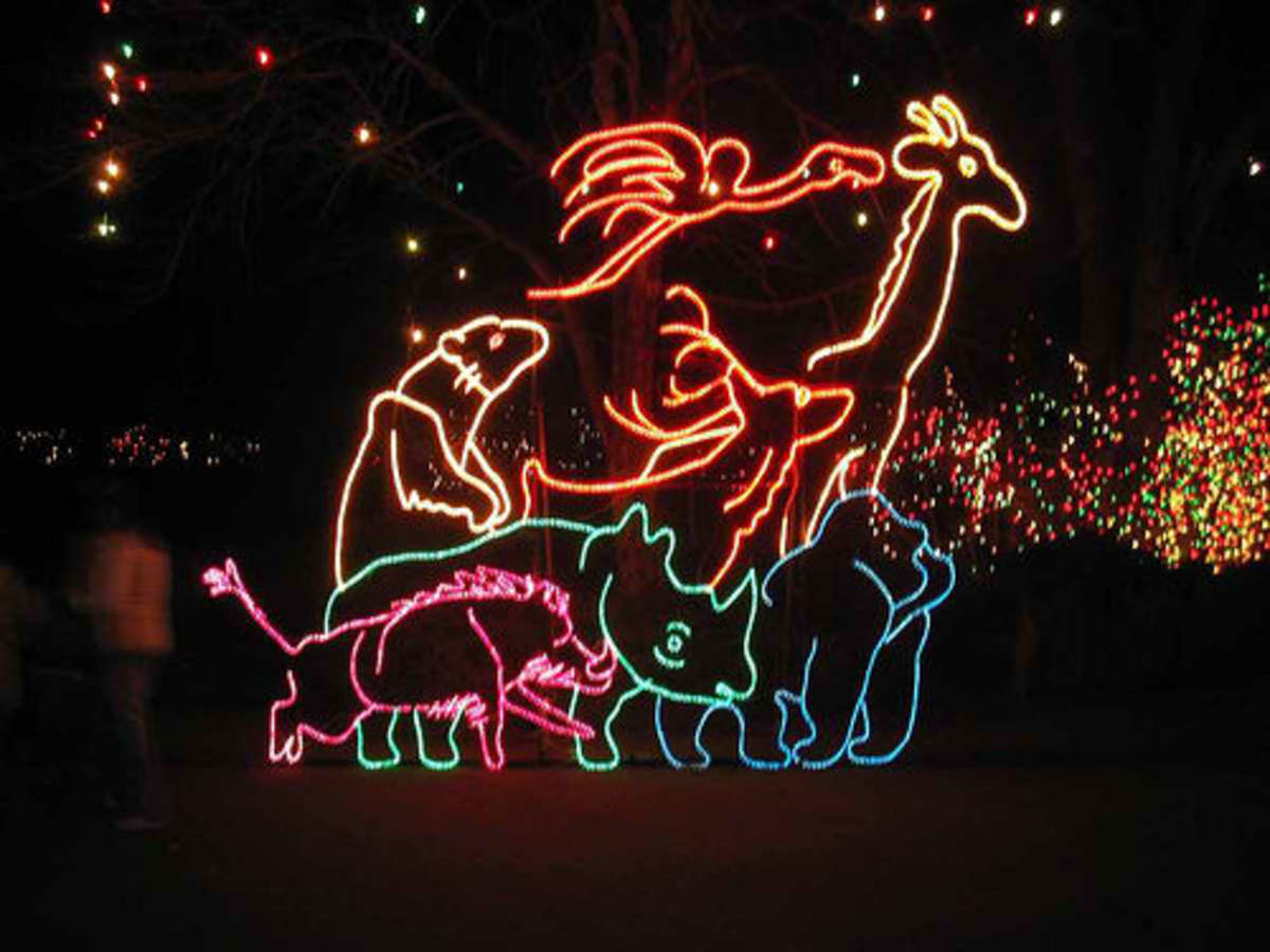 Christmas and Winter Wild Lights at the Columbus Zoo Bigger Every