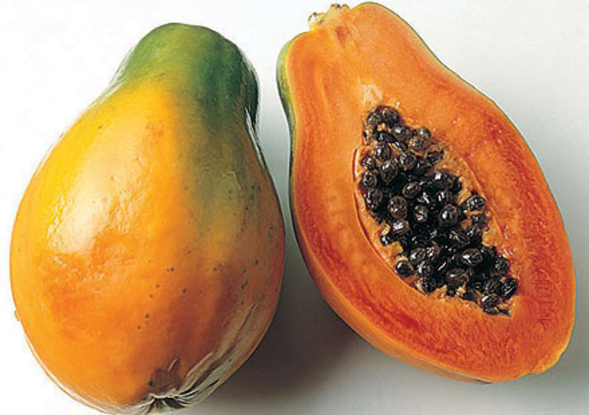Health Benefits Of Papaya And Papaya Seeds HubPages