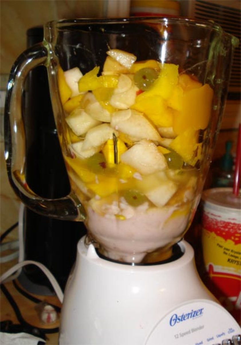 Homemade Crested Gecko Diet HubPages