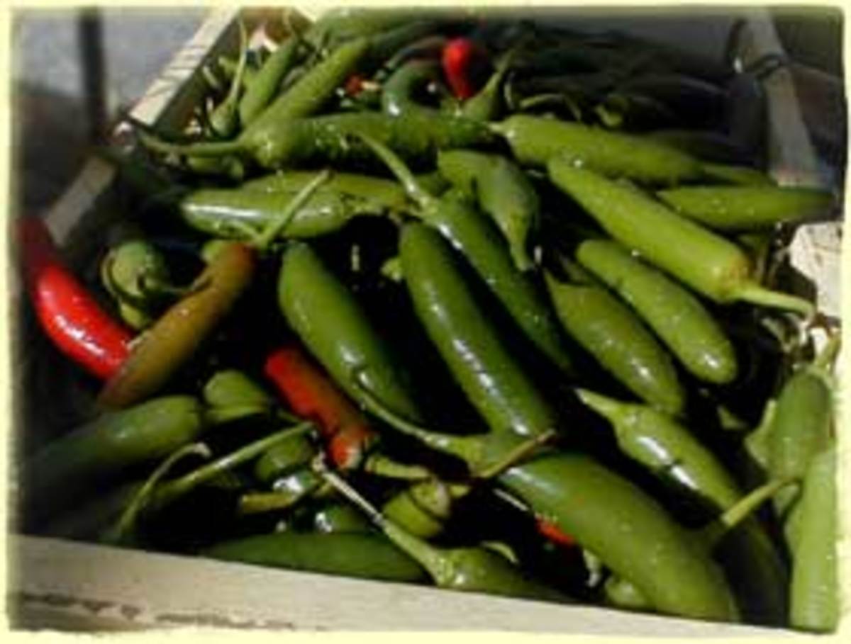 mexican hot sauce recipe. A delicious spicy tomato based table sauce