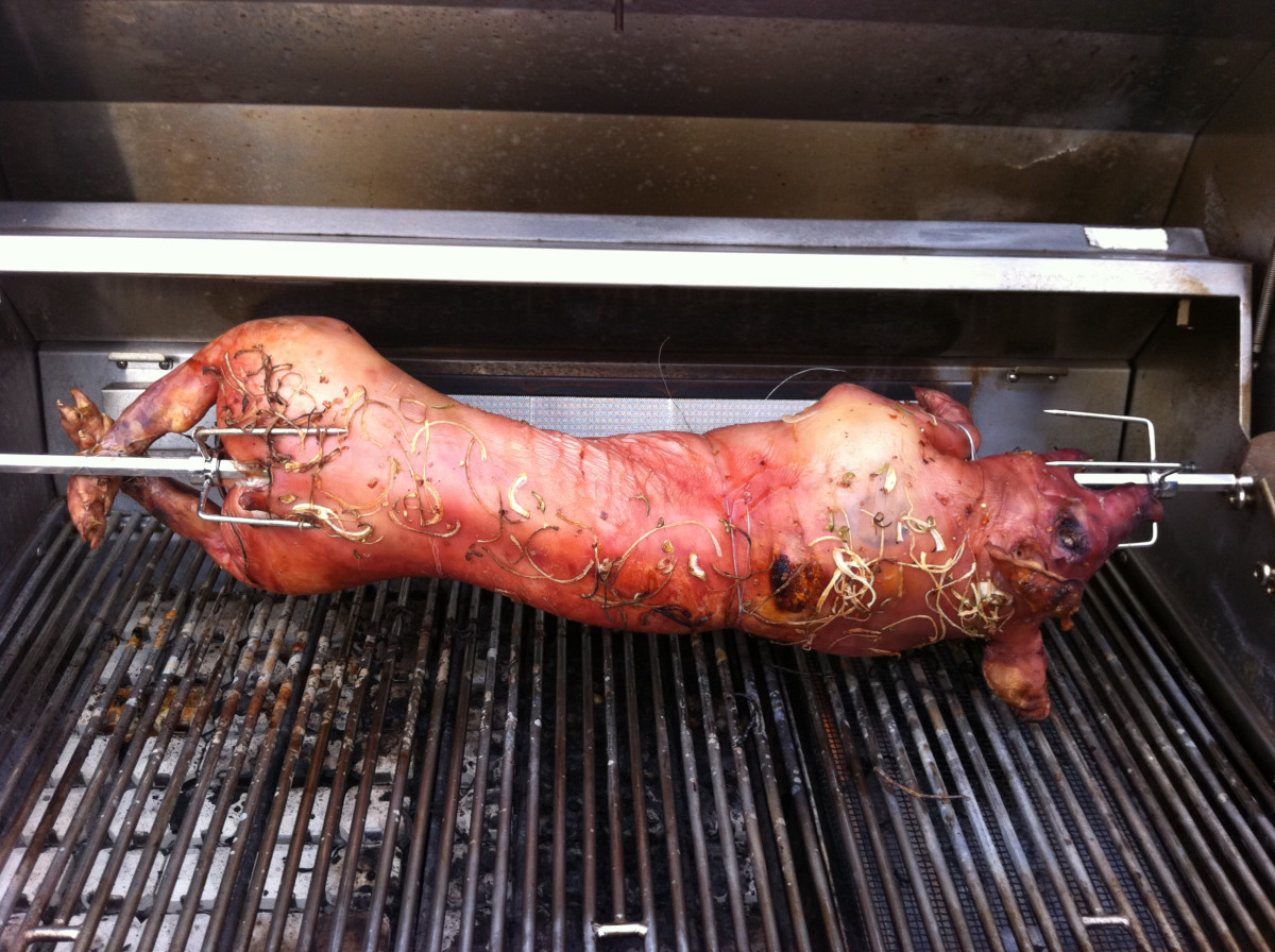 SpitRoasted Pig on the Barbecue Delishably