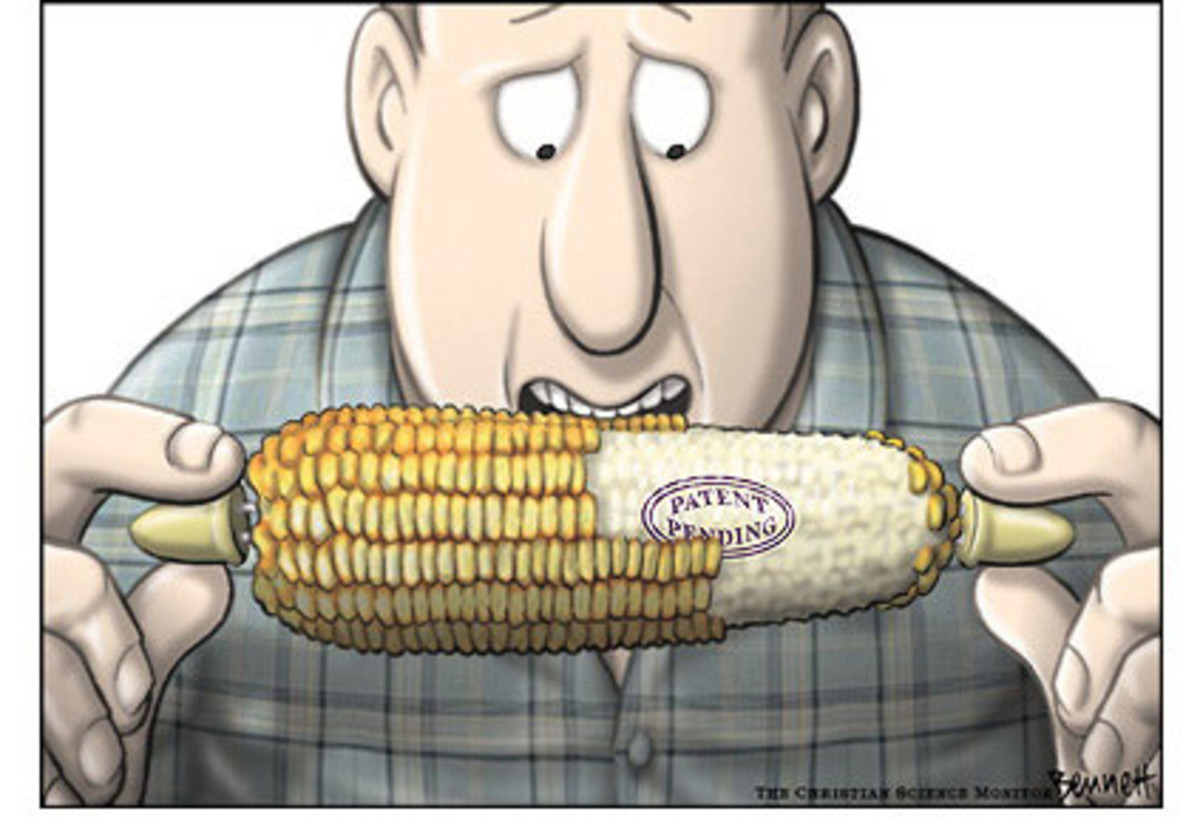 Advantages and Disadvantages of Modified Foods (GMO's