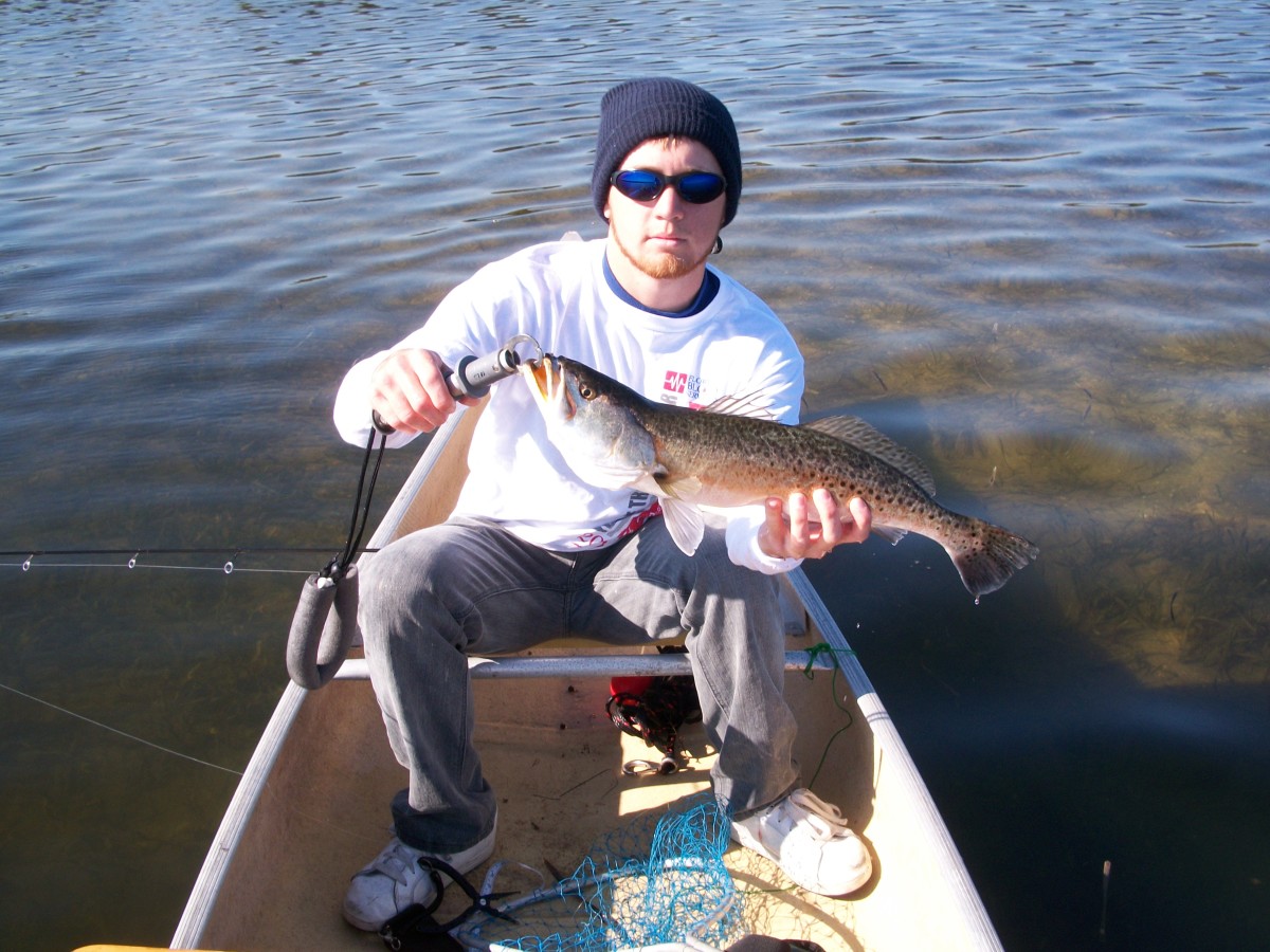 Saltwater Fishing Speckled Trout Tactics hubpages