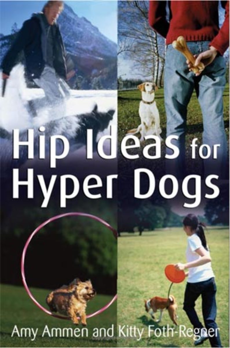 Dog Training Book Review Hip Ideas for Hyper Dogs