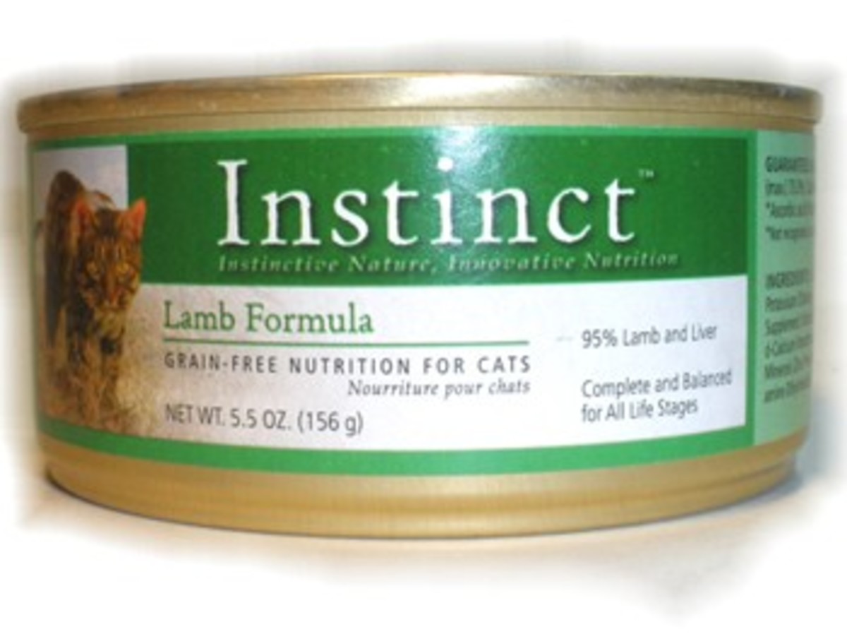 Canned Cat Food How to make the best choice for your cat