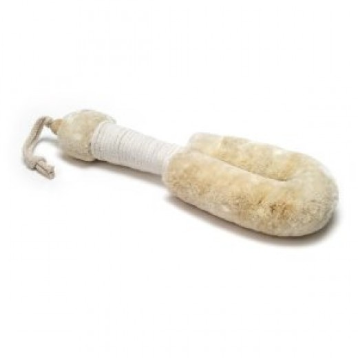 Best Body Brush Top Dry Brushing Cellulite Brush hubpages