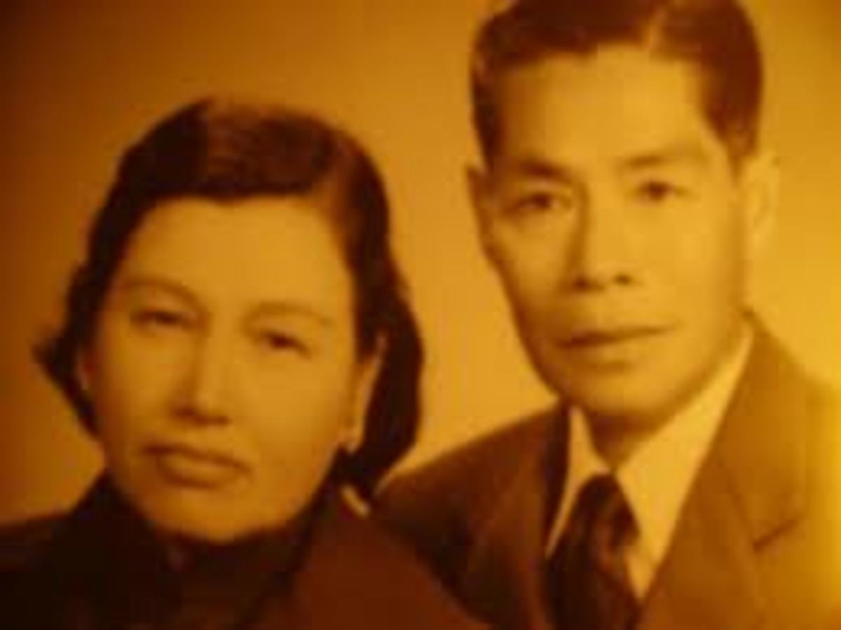 Interview with Bruce Lee Martial Arts Master, Film Maker and Actor