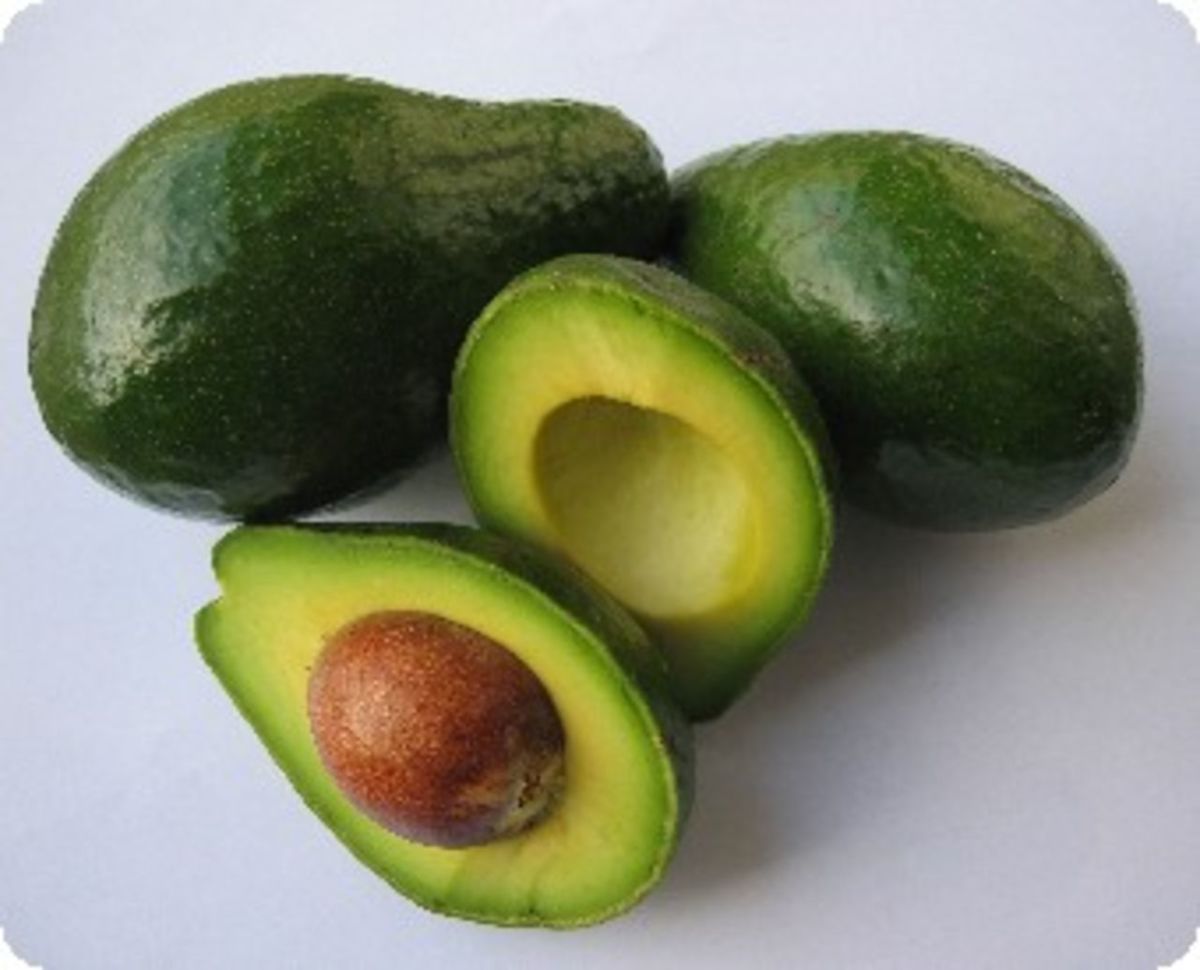 How to Grow an Avocado Plant from Seed Dengarden
