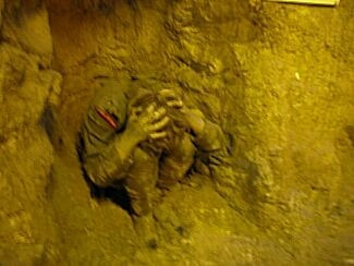 World One War Shellshock