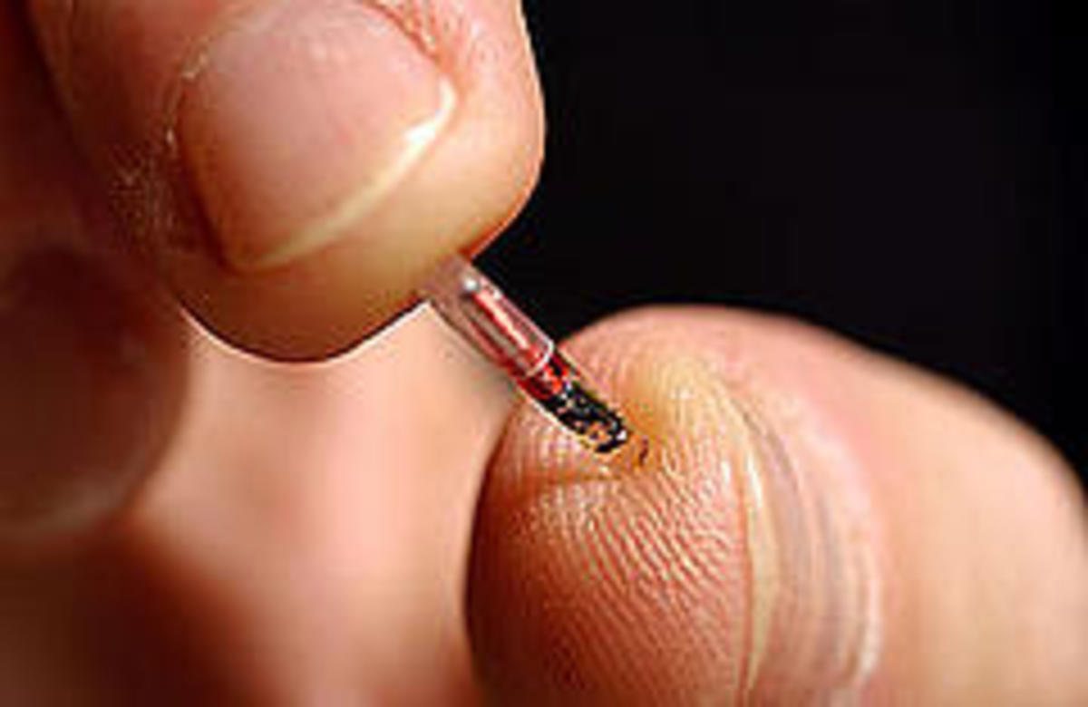 Human Chip Implant RFID Chip or Verichip HubPages