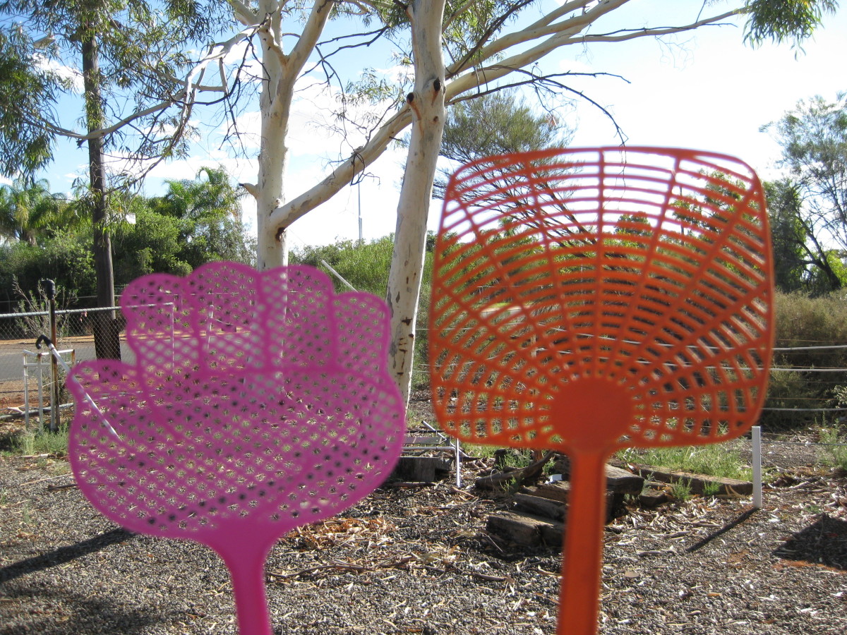 What Happens If You Swallow A Fly ? Tips on flies. HubPages