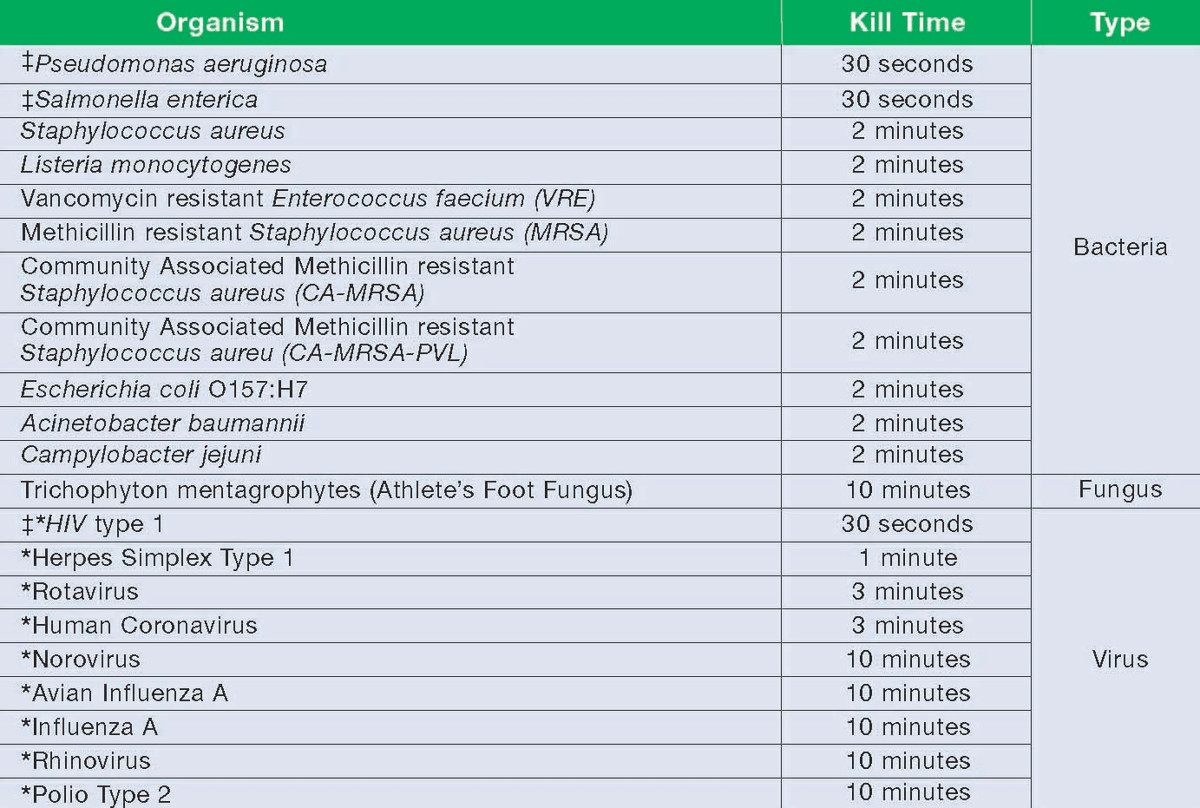 How To Get Rid of and Kill Norovirus Germs HubPages