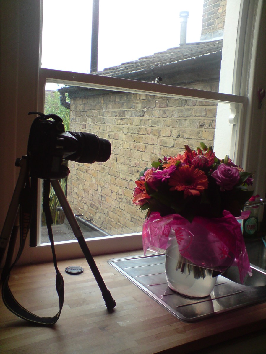 Creative Photography Project Ideas How to set up your own Macro Studio