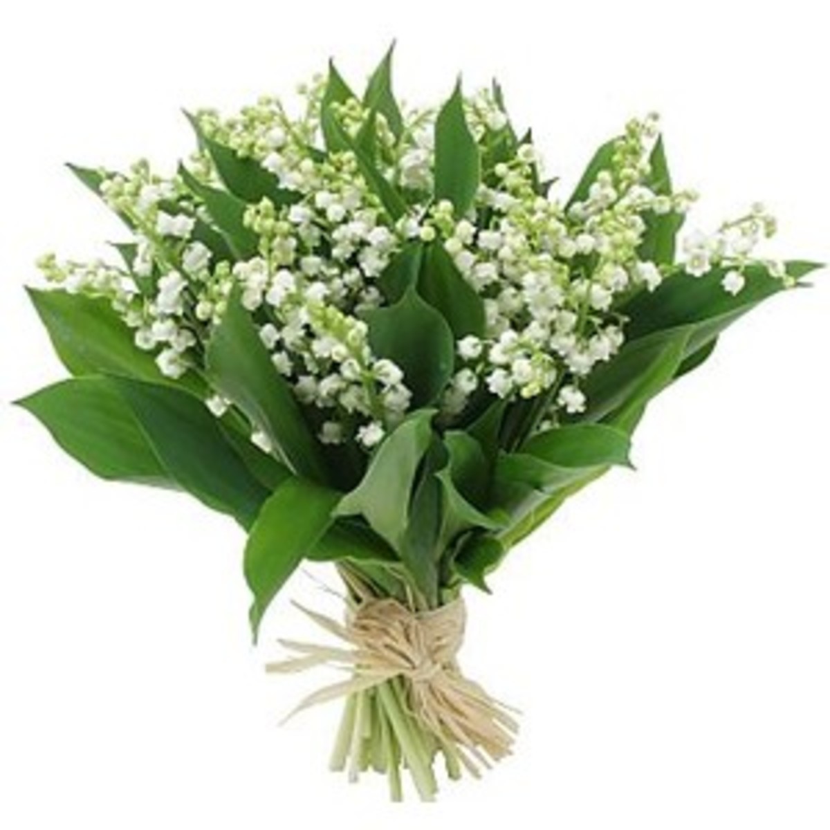 Kate Middleton's Wedding Bouquet