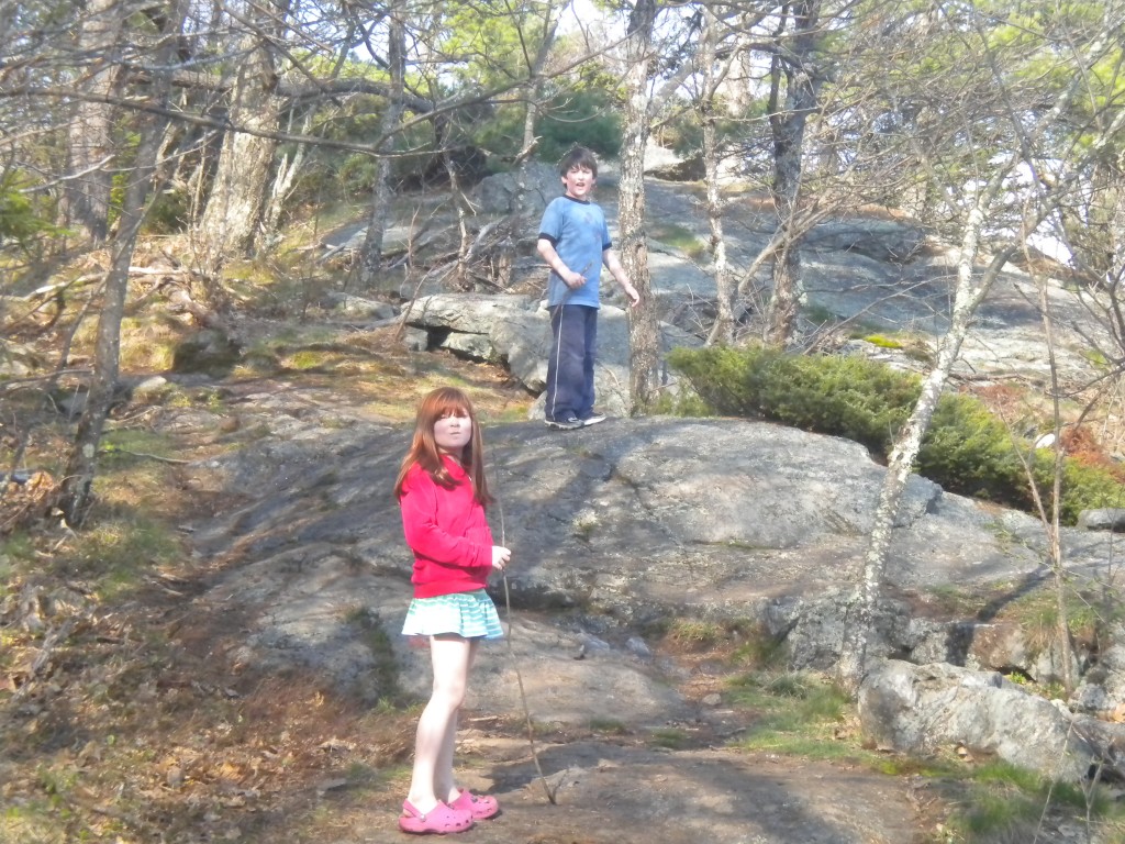 Blue Job Mountain Fire Tower Farmington NH